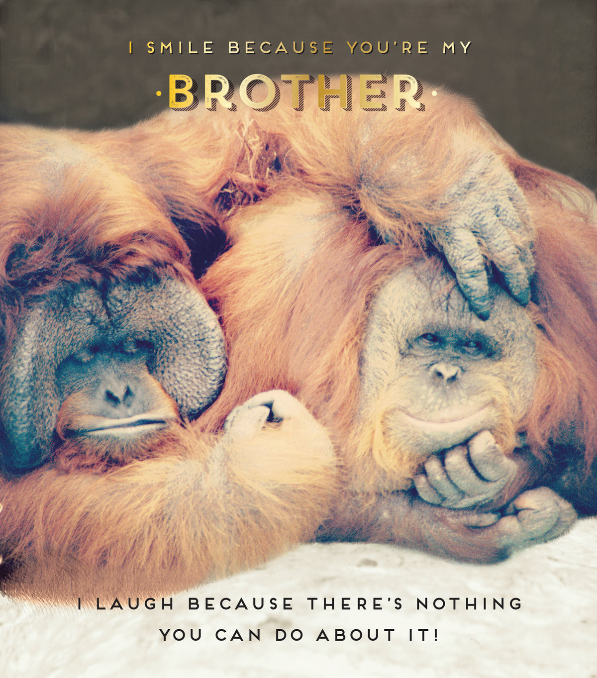 I Smile Because You&#39;re My Brother Birthday Card